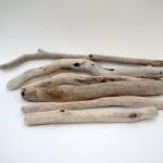 Driftwood Sun Bleached Gnarled Curled Collection
